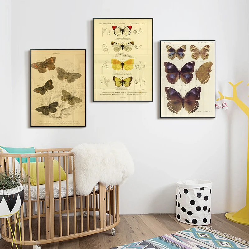 

Butterfly Insect Vintage Poster Papillons Print Canvas Painting Biology Education Wall Art Picture Modern Study Room Decoration