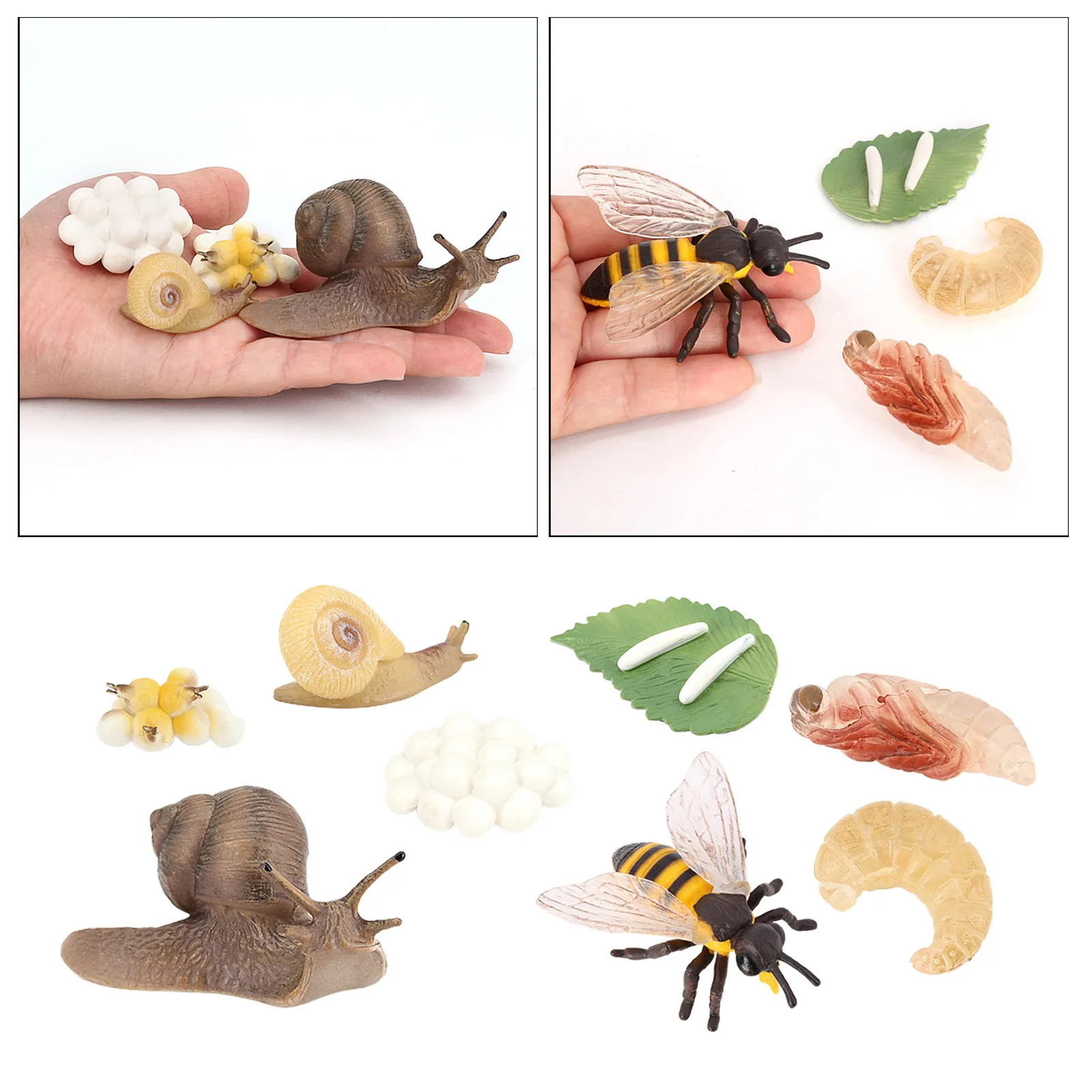 

Early Educational Kids Toddlers Realistic Animals Insects Snail and Bee Growth Process Toy Models Playset Pretend Play Gifts