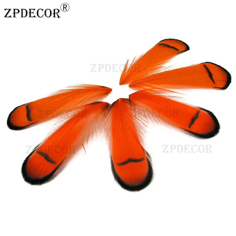 8-12 см леди амгерст палантин фазана перо или перья | Дом и сад