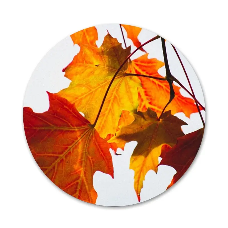 58mm Autumn fall Maple Leaves Kitchen Home Decor Refrigerator Magnetic Stickers Opener Beer Coke | Дом и сад