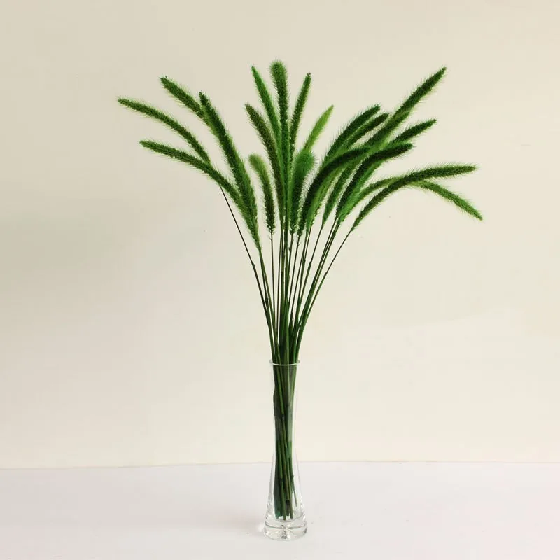 

Real Dried Multi-Color Small Dog's Tail Grass&Setaria Pampas Wedding Flower Bunch Natural Plants Living Room Home Party Decor