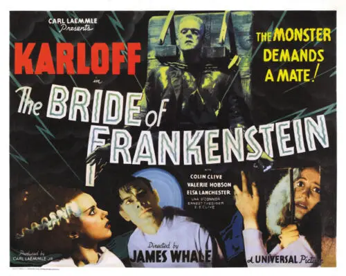 

The Bride of Frankenstein (1935) Boris Karloff Horror Movie Art Silk Poster Print 24x36inch