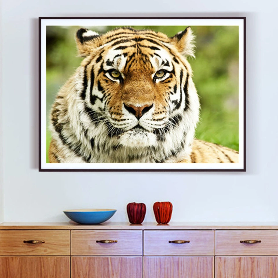 AZQSD Набор для раскрашивания по номерам холст животные сделай сам без рамки