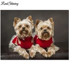 5D художественные изделия, алмазная вышивка, йоркширский терьер, сделай сам, алмазная живопись, вышивка крестиком, изображения собаки, набор для мозаики, наклейка на стену FS6864