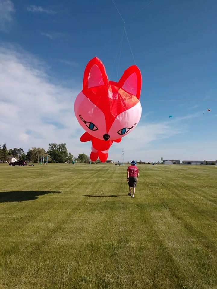 5 м надувной воздушный змей в форме лисы от kaixuan kite factory|Воздушные змеи| |