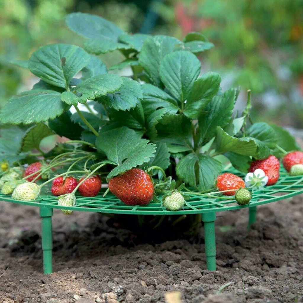 

2 Pcs Strawberry Stand Frame Holder Balcony Planting Rack Fruit Support Plant Flower Climbing Vine Pillar Gardening Stand