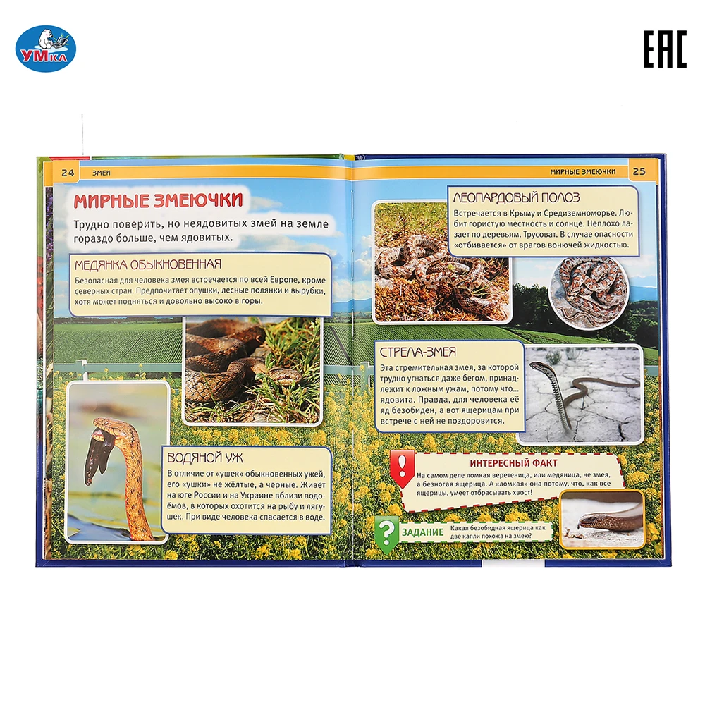 Энциклопедия Умка Змеи (с развивающими заданиями) твердый переплет 48 листов