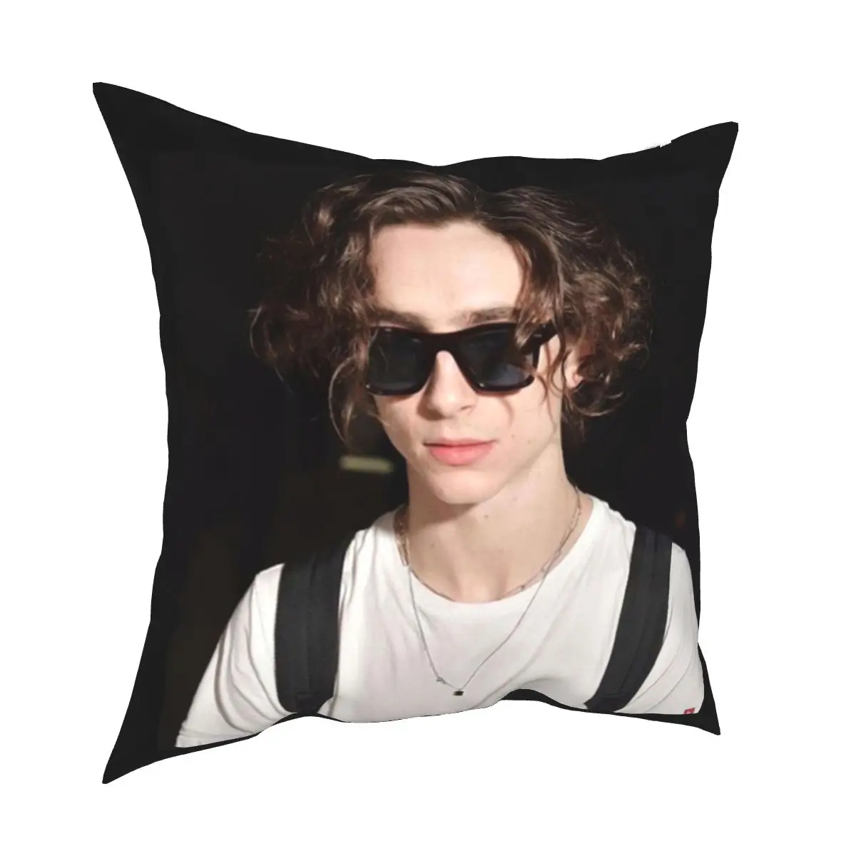 

Timothee Chalamet Pillowcases Seat Timmy Elio Little Women Beautiful Boy Cushion Case Decorative Throw Pillow Case 45*45cm