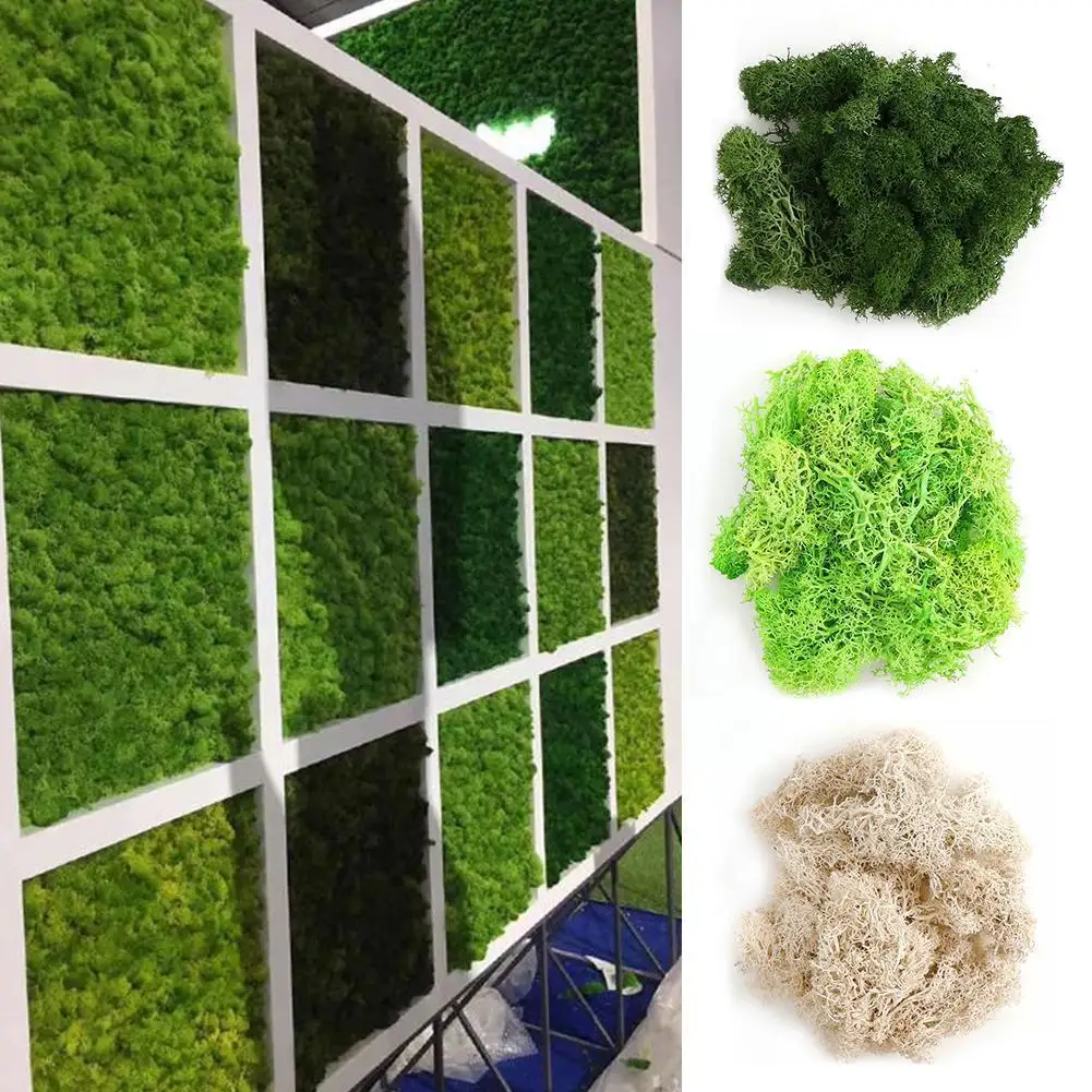 

Искусственный мох высокого качества 20 г, имитация иммортного Моха, декоративное зеленое украшение «сделай сам», микро стена, ландшафт, трав...