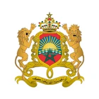 Классическая модная Автомобильная наклейка, Марокканское пальто, автомобильный Стайлинг, Виниловая наклейка, Обложка, царапины, водонепроницаемое окно, аксессуары для лобового стекла