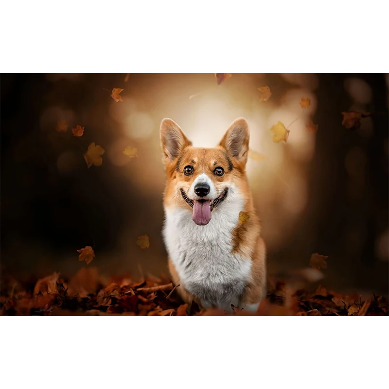 5D DIY полностью квадратная Алмазная картина осенние Домашние животные корги