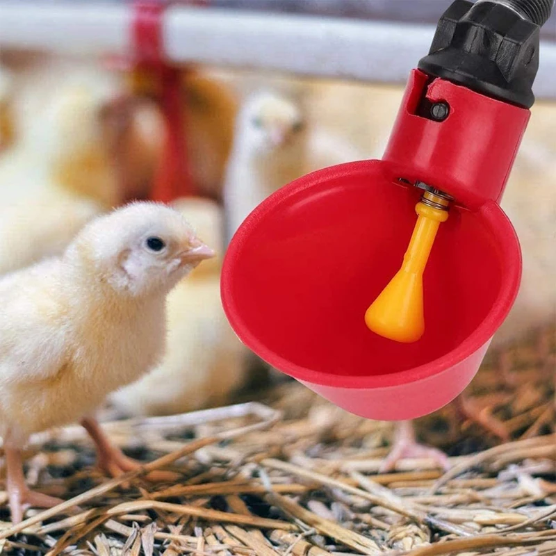 

5PCS Automatic Chicken Drinker Quail Hanging Water Cup Nipple Drinking Bowls Feed Bird Coop Drinker Cups for Backyard Poultry