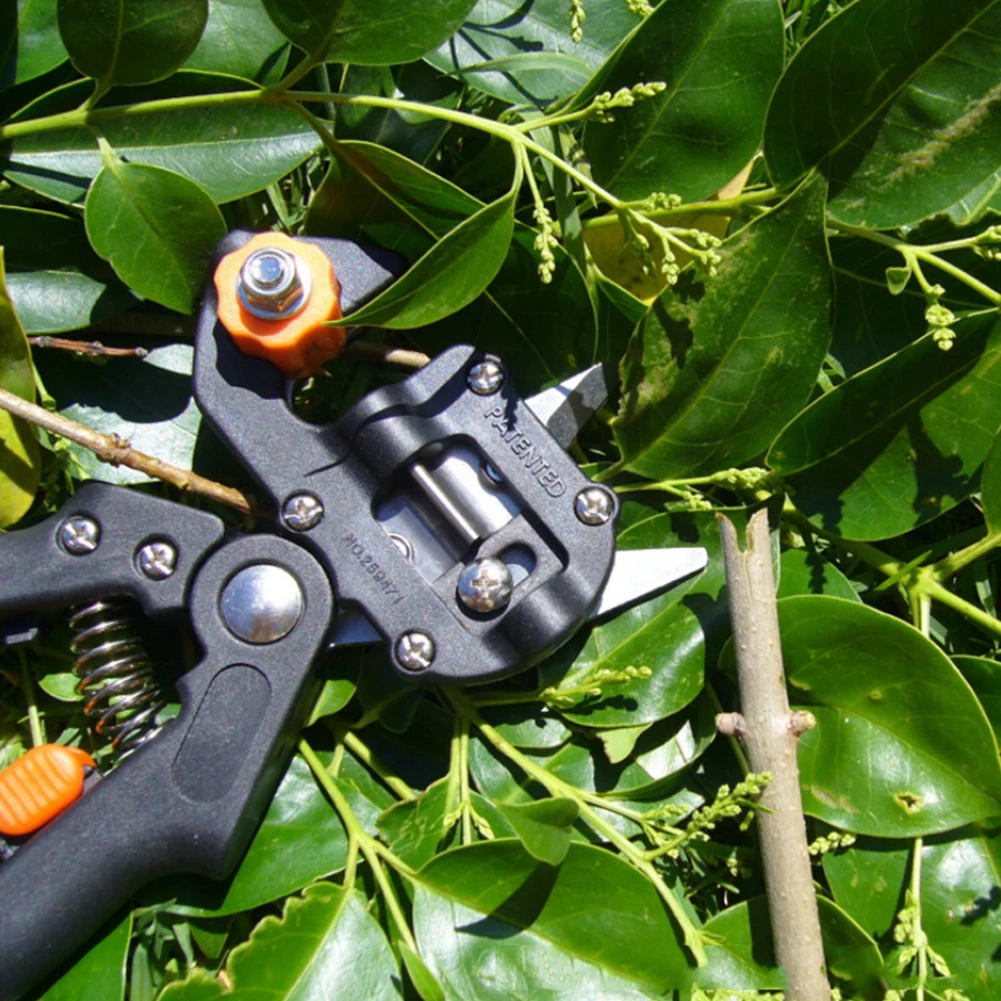 

Heall Vaccination Secateurs Grafting Machine Garden Tools Grafting Machine Tree Grafting Tools Secateurs Scissors Pruner Shear