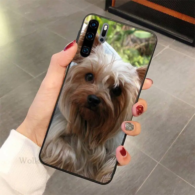 

Hot Yorkshire terrier dog puppy Phone Case for honor 7A 8x 8s 9 10i 20s V30 PLAY lite pro nax fundas cover