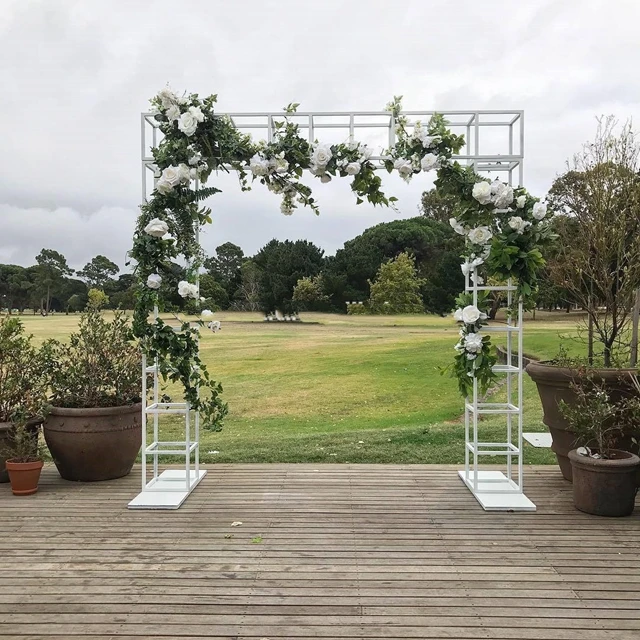 Рисунок 4 - Без цветов) Белый Серебряный цветок