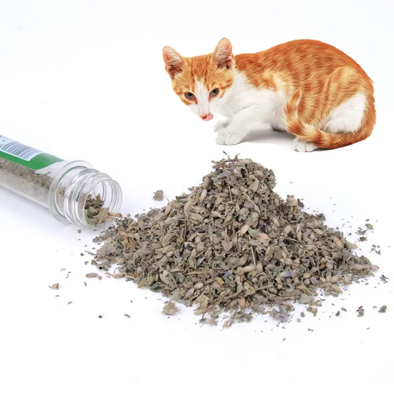 

40ml Natural Organic Cat Catnip Kitten Menthol Flavor Interactive Pet Cat Treats Training Toy Cat Mint Snacks