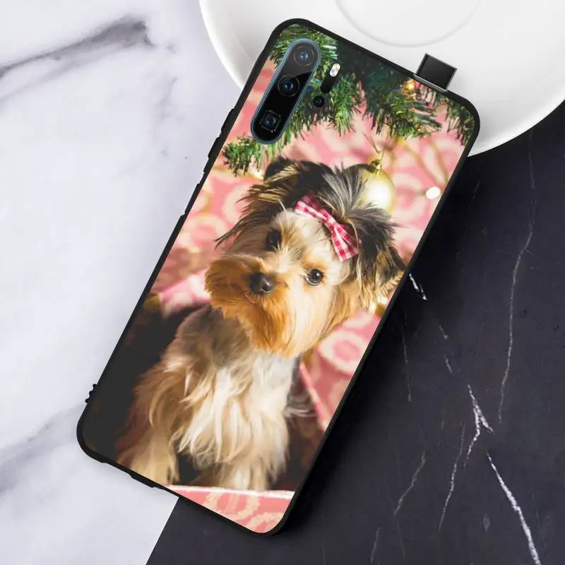 

Yorkshire Terrier dog animal Phone Case For Huawei honor Mate P 10 20 30 40 Pro 10i 9 10 20 8 x Lite