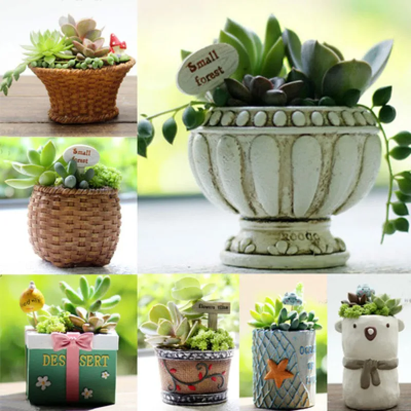 

Lovely Personality resin Succulent Flower Pot Meat Plant Nursery Planter Home Office Decoration European style