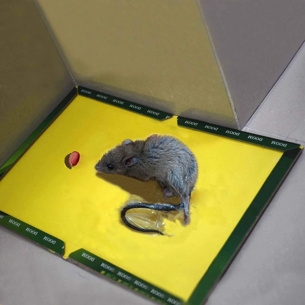 

Mouse Glue Trap Mice Board Sticky High Effective Rodent Rat Snake Bugs Catcher Pest Control Reject Non-toxic Eco-Friendly