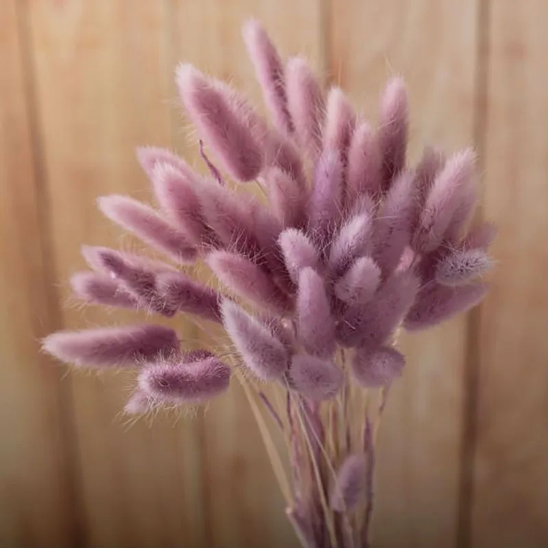 Натуральные сухие цветы искусственные ветки растений цветные Искусственные Setaria