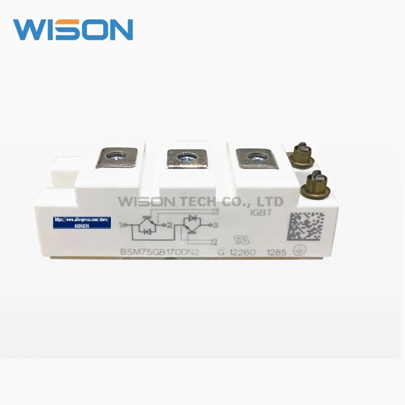 bsm75gb170dn2