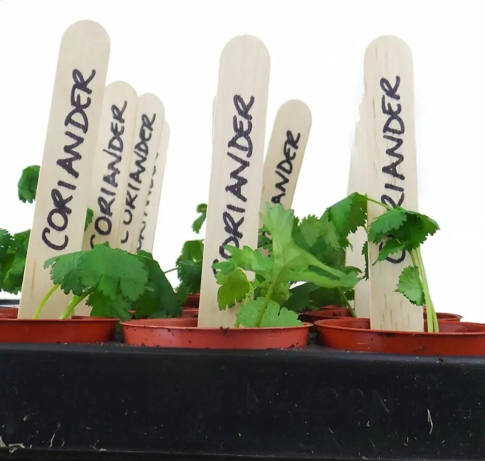 

100PCS Wooden Sticks Plant Labels Manual Smooth Popsicle DIY kids Handwork Art Crafts Toys Wood Ice Cream Sticks For Kids