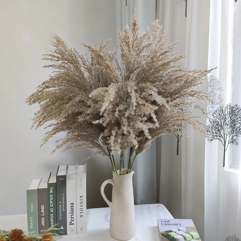 

Pampas Grass Natural Dried Flower Plants Garden And Yard Decor Wedding Decoratio Photo Shoot Props Gazebos Party Decoration