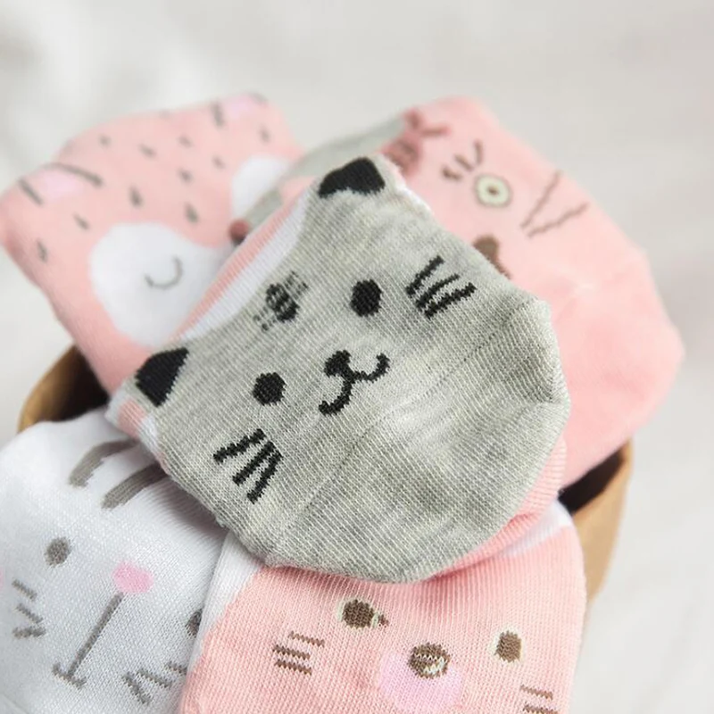 Носки женские хлопковые с мультяшным принтом 5 пар|Носки| |