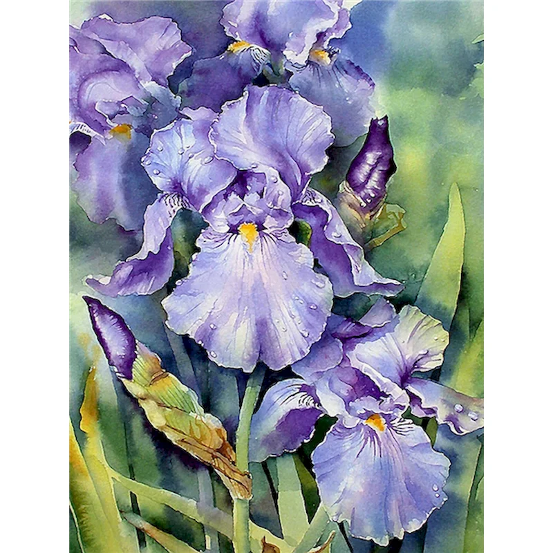 

GATYZTORY Acrylic Frame Diy Painting By Numbers Kits Purple Flowers Picture Wall Art Handpainted Oil Painting For Home Decors