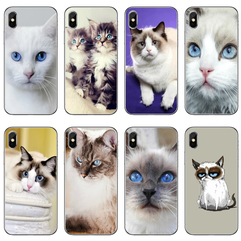 Pet ragdoll кошка синие глаза для huawei mate 20 10 9 P30 P20 P10 P9 pro Lite P Smart plus аксессуары чехол для телефона