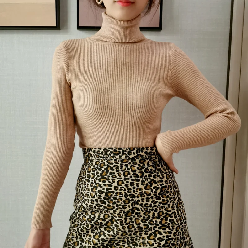 2022 Spring Slim Long Sleeve Turtleneck Autumn Winter Sweater Women Knitted Ribbed Pullover Jumper Soft Warm Pull Femme | Водолазки