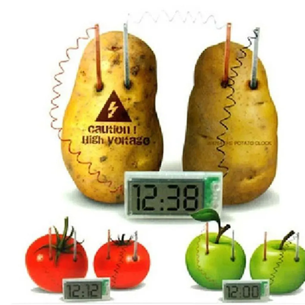 

Novel Green Science Potato Clock Project Experiment Kit Kids Lab Home School