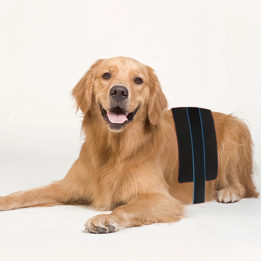 upgraded led red light therapy belt infrared full body pad wearable wrap device for back knees shoulder joint muscle pain relief free global shipping