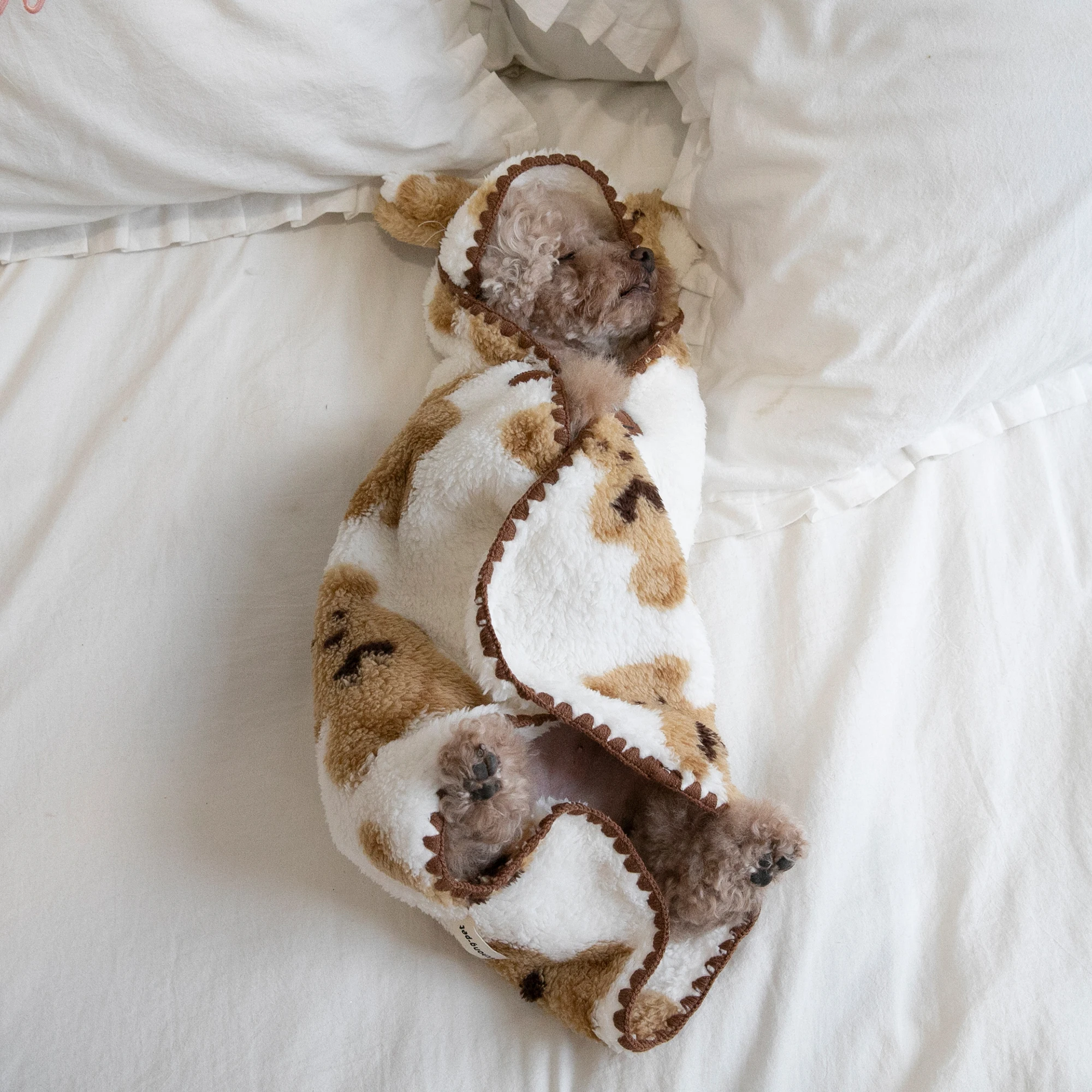 

Autumn Winter Pet Bear Blanket Comfort Plus Velvet Cat Small and Medium Dogs Supplies