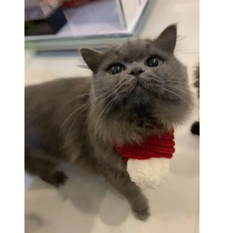 Собачий кошачий шарф Теплый Зимний вязаный для щенков кошек Регулируемый