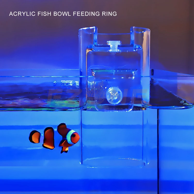 Прозрачное акриловое кольцо для кормления рыб в форме аквариума со свежим рифом