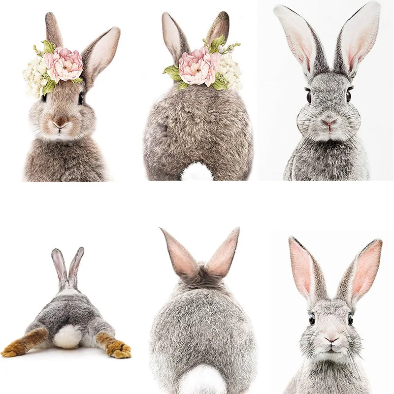 

DIY Animal Rabbit Full Square Drill Diamond Painting Colorful Handmade Cross Stitch Embroidery Mosaic Home Room Wall Decor