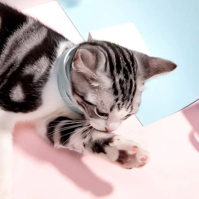 Cat Dog Anti Flea Mite Tick Collar No Grooming Tool Quadruple Removal Effect Kitten Remedy Neck Pet Supplies | Дом и сад