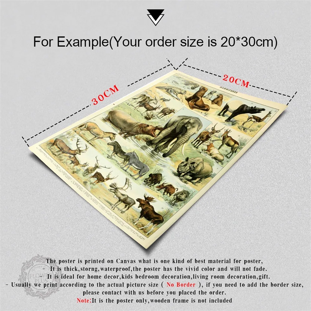 

Botanical Animals Mushrooms Ocean Chart Educational Art Painting Silk Canvas Poster Wall Home Decor