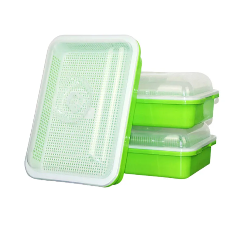 Пластиковый поднос для рассады семян с крышкой двухслойный выращивания саженцев