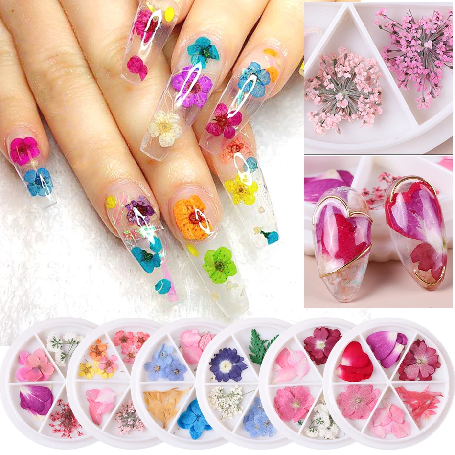1 колесо 3d высушенные цветы украшения для дизайна ногтей смешанные натуральные
