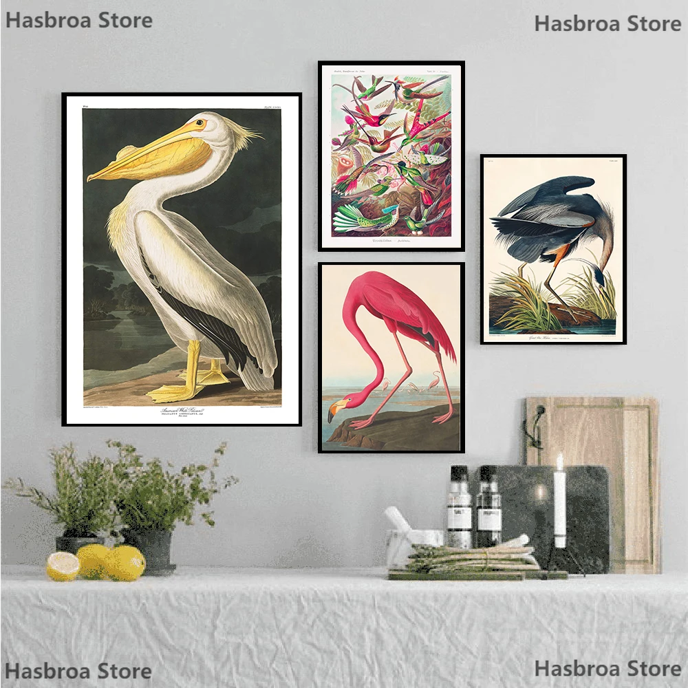 Настенное художественное изображение Audubon винтажный постер с птицами холст