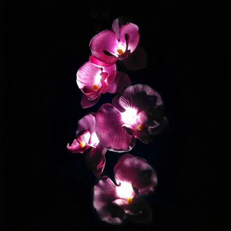 Offerte Ha Condotto La Luce Solare Esterna Impermeabile 5 Farfalla Solare Lanterna Solare Lampada Di Prato Per Yard Path Way Paesaggio Decorativo