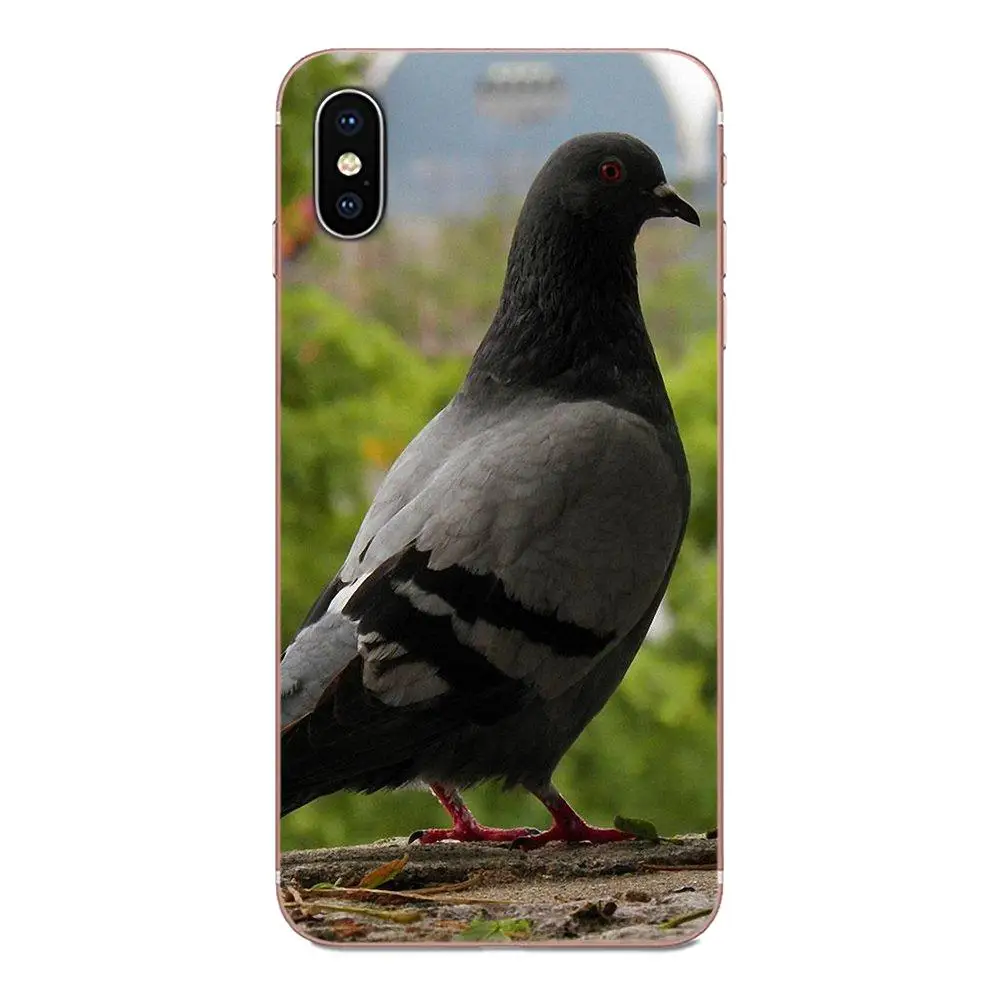 Мягкий защитный чехол для Galaxy Note 10 A10E A10S A20S A30S A40S A50S A6S A70S A730 A8S M30S S2 S3 Plus Peace Dove |