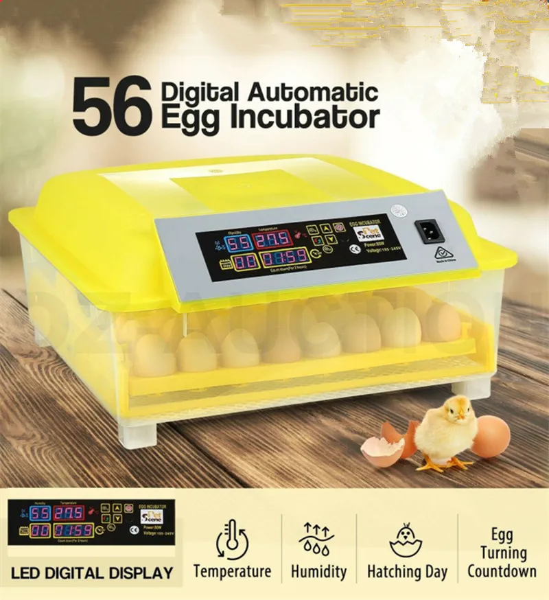 

Инкубатор для яиц, инкубатор для перепелиных птиц, 56 яиц