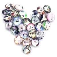 5pcs mixed pet dog round dome snap press buttons diy crafts scrapbook gift decor charm jewelry accessories snap fastener 5 5mm