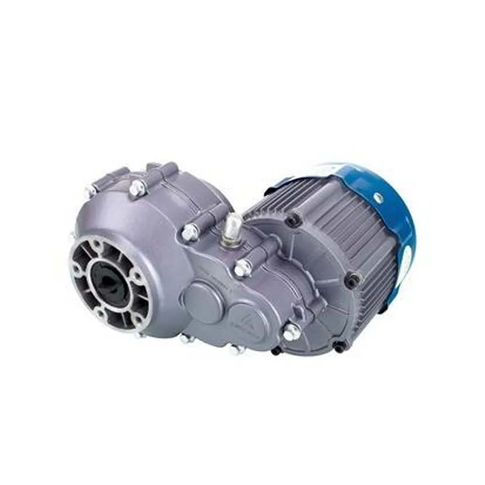 Постоянный магнит DC бесщеточный мотор 350W 48V аксессуары для электрического трицикла