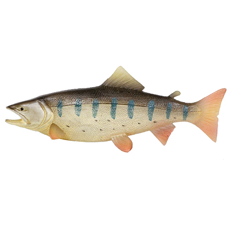 Wiben Sea Life Oncorhynchus модель серебро арована Карп моделирование животных экшн и