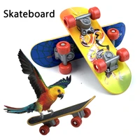 skateboard bird parrot toys for small bird toy parrot intelligence mini skate training grinding claw bird accessories budgies