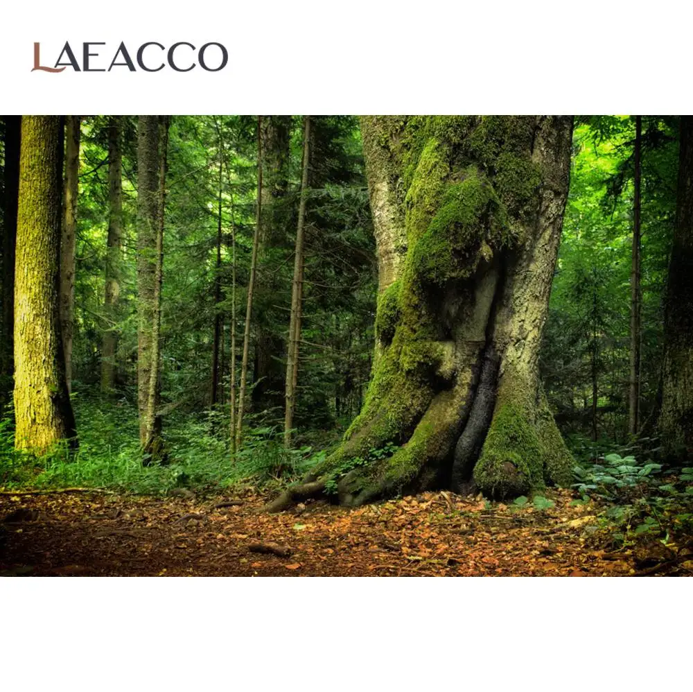 Laeacco тропический дождь Лес Дерево Зеленый мох трава портрет фото фоны на заказ